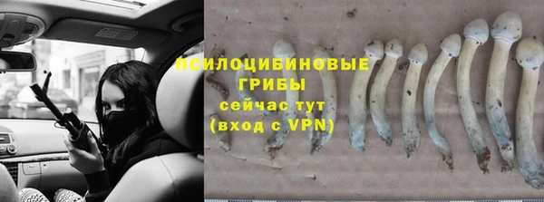 гидропоника Армянск