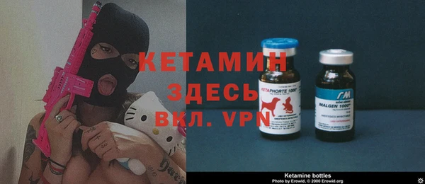индика Аркадак