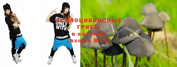 индика Аркадак