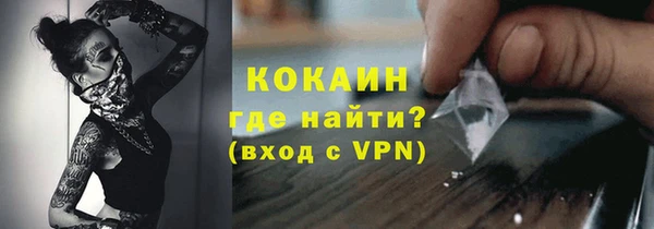 индика Аркадак