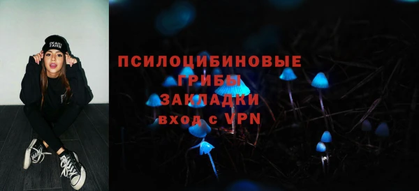 не бодяженный Арсеньев