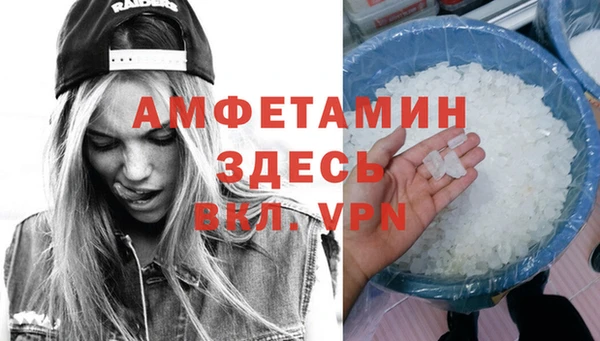 индика Аркадак