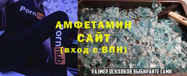 индика Аркадак
