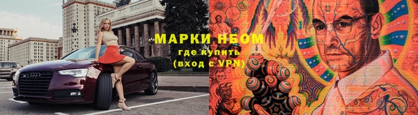 индика Аркадак