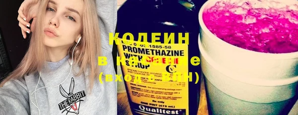 индика Аркадак