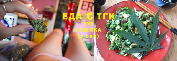 индика Аркадак