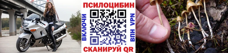 Галлюциногенные грибы Psilocybine cubensis  Лянтор 