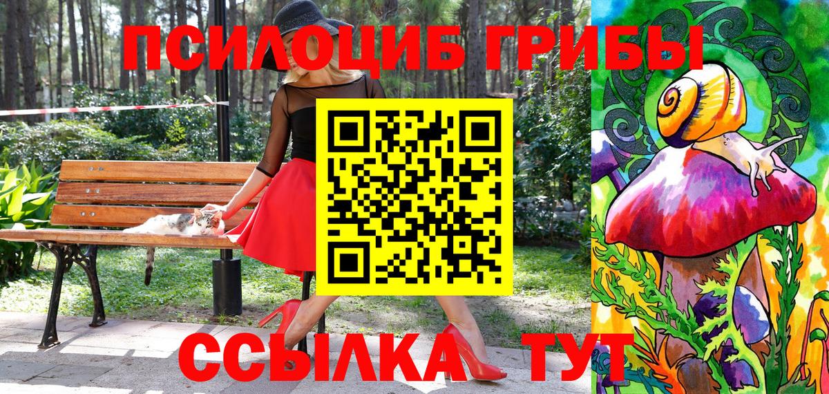 Галлюциногенные грибы прущие грибы Лянтор