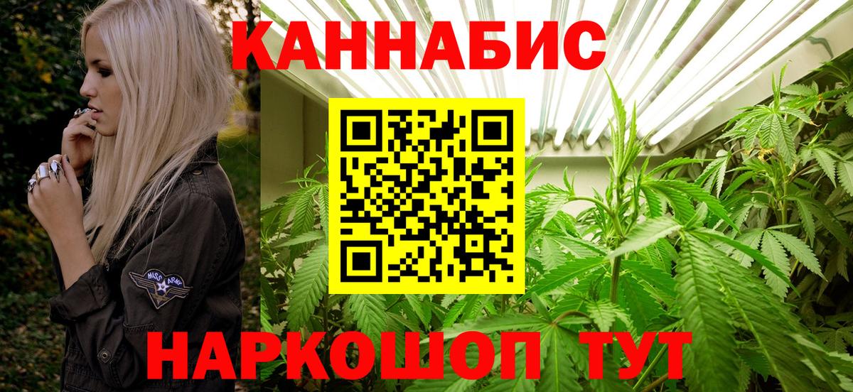 Каннабис OG Kush Лянтор